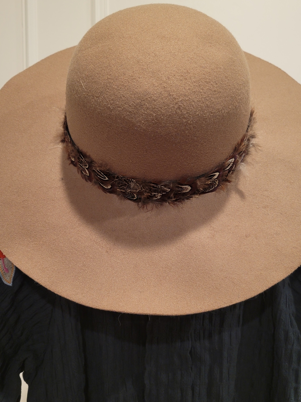 Felt Wide-Brim Floppy Hat with Feather Trim - Camel
